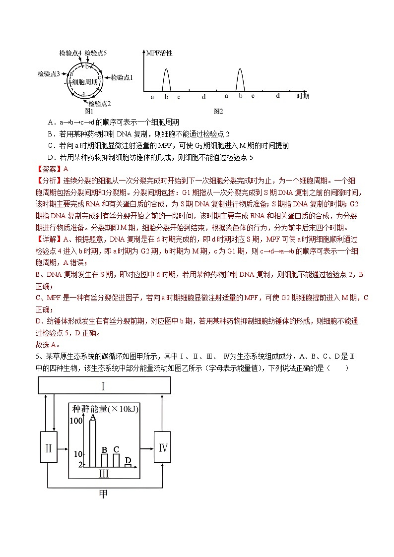备战2024年高考生物仿真演练模拟预测卷（安徽卷）05（Word版附解析）03