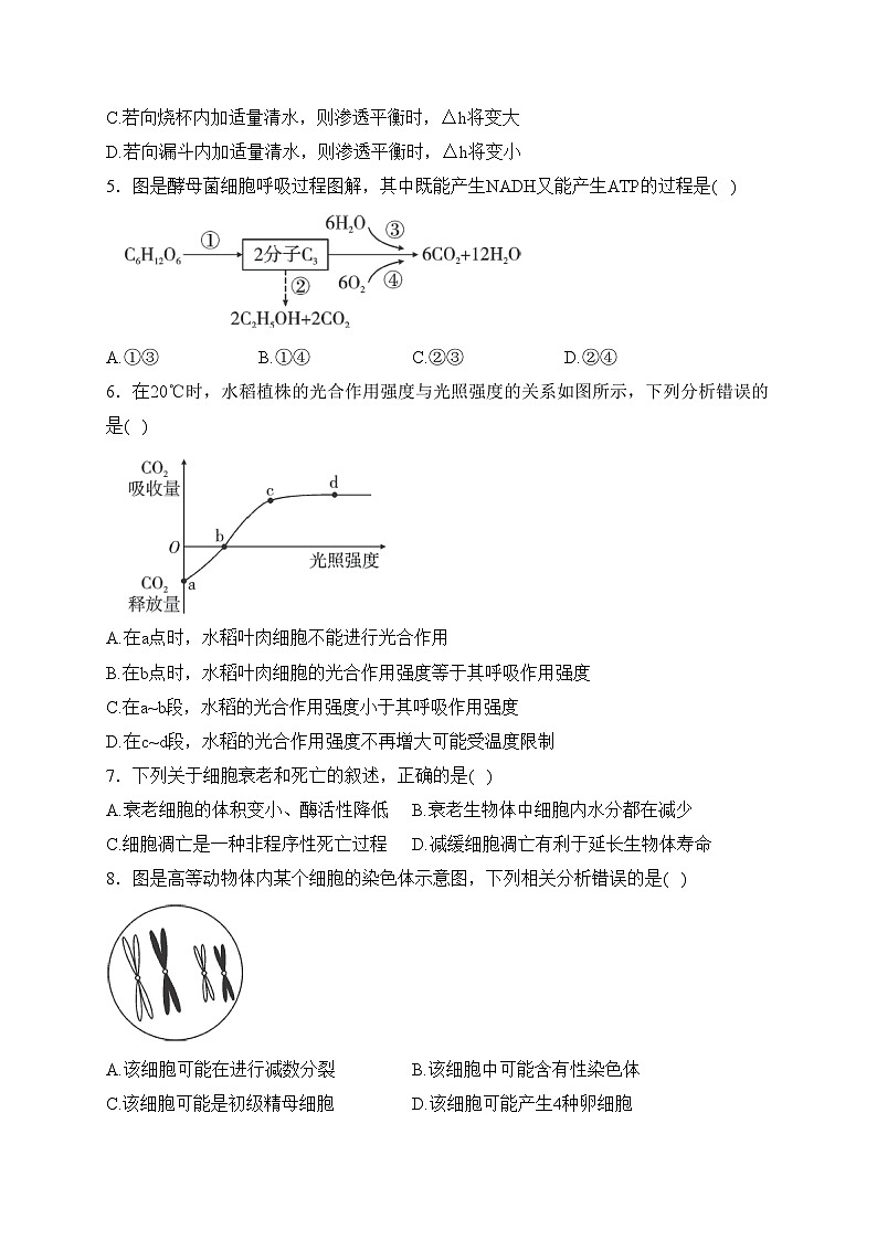 沧源佤族自治县民族中学2022-2023学年高二上学期教学测评月考（二）生物试卷(含答案)02