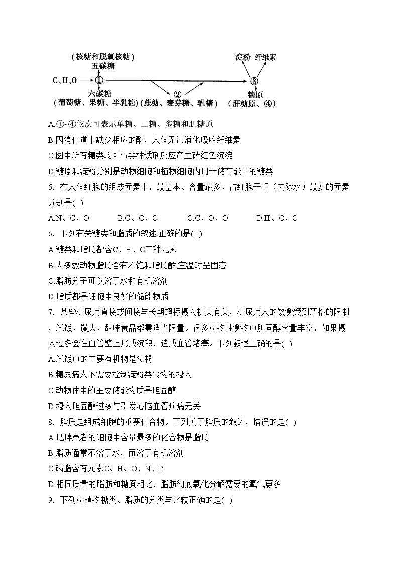 常熟市王淦昌高级中学2022-2023学年高一上学期10月月考生物试卷(含答案)02