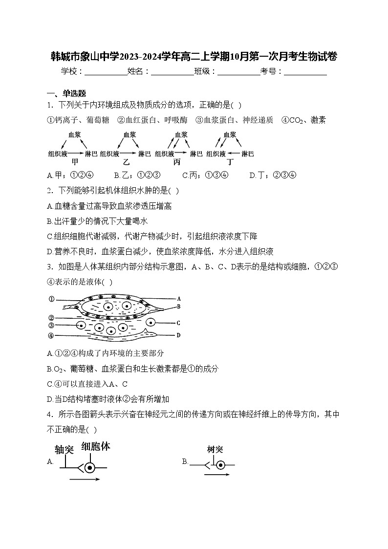 韩城市象山中学2023-2024学年高二上学期10月第一次月考生物试卷(含答案)01