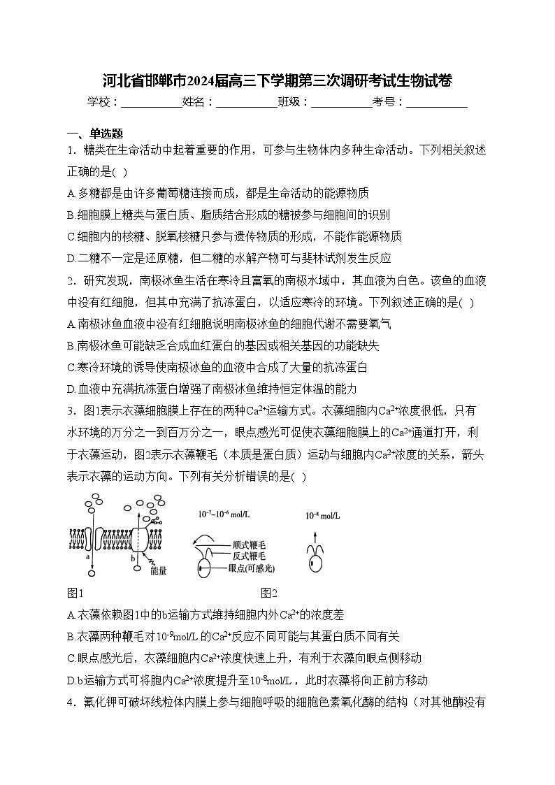 河北省邯郸市2024届高三下学期第三次调研考试生物试卷(含答案)01