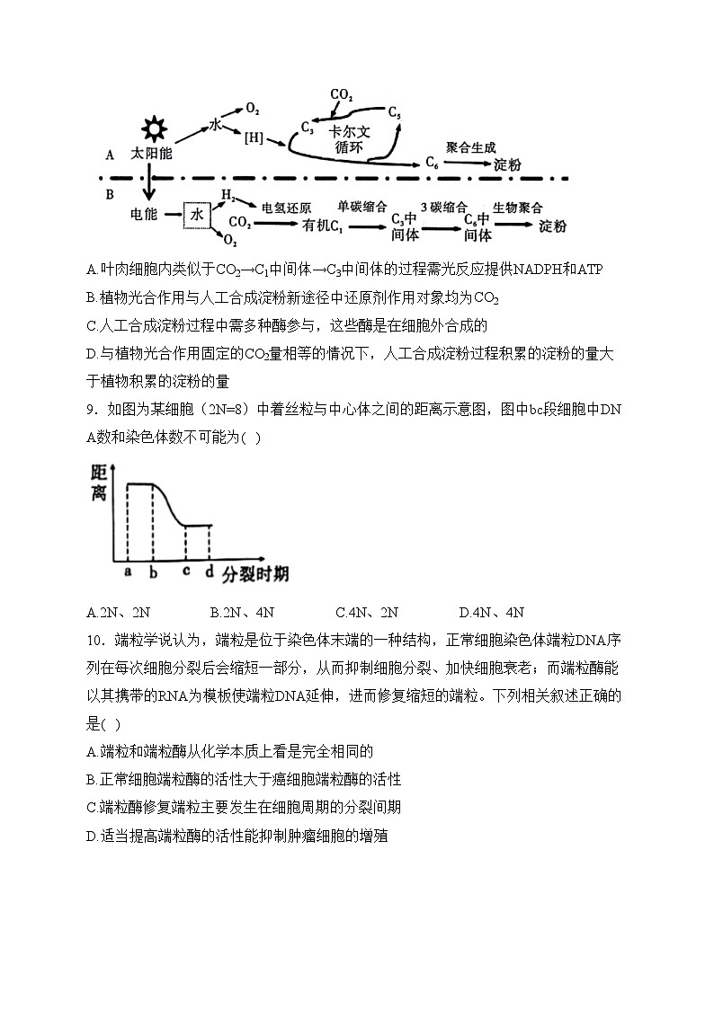 湖北省部分重点中学2023届高三上学期10月联考生物试卷(含答案)03