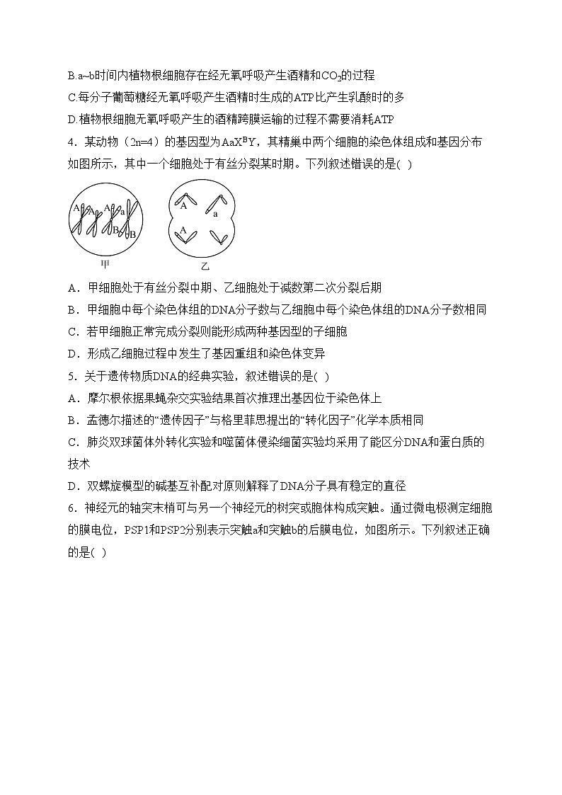 湖南省邵东市第一中学2023-2024学年高二下学期3月月考生物试卷(含答案)第2页