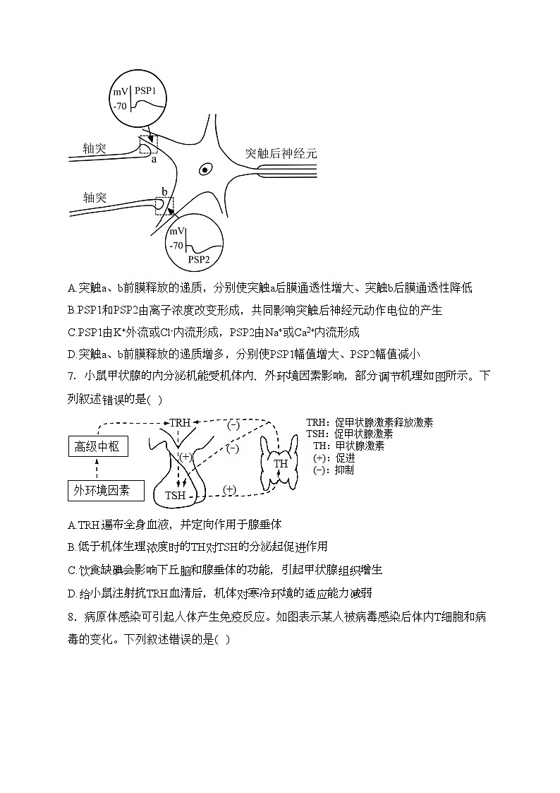 湖南省邵东市第一中学2023-2024学年高二下学期3月月考生物试卷(含答案)第3页