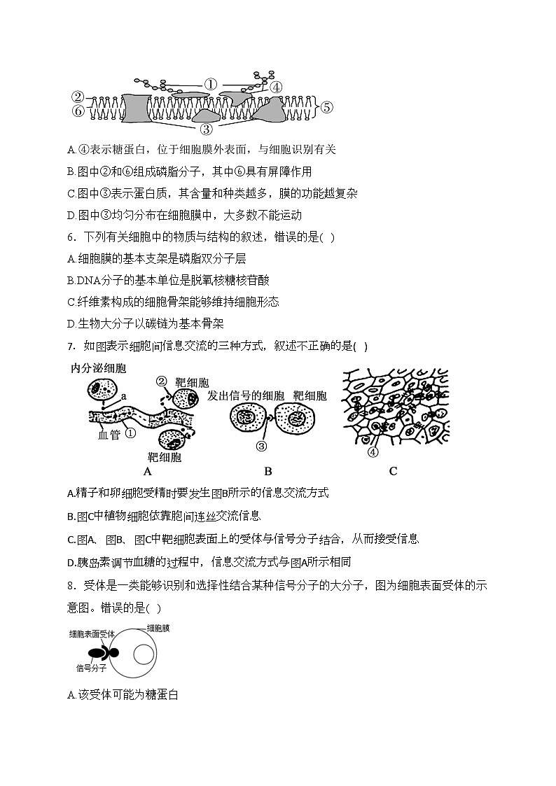 辉南县第六中学2022-2023学年高一上学期周测生物试卷(含答案)第2页