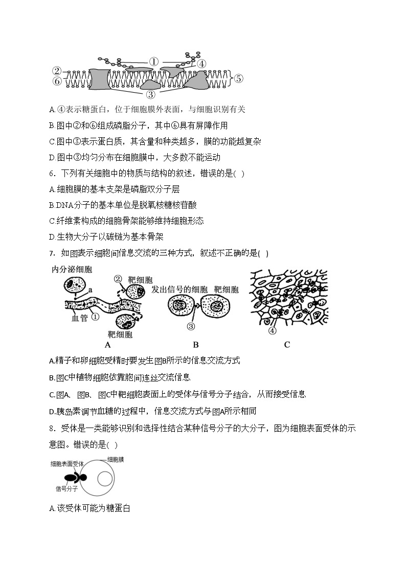 辉南县第六中学2022-2023学年高一上学期周测生物试卷(含答案)02
