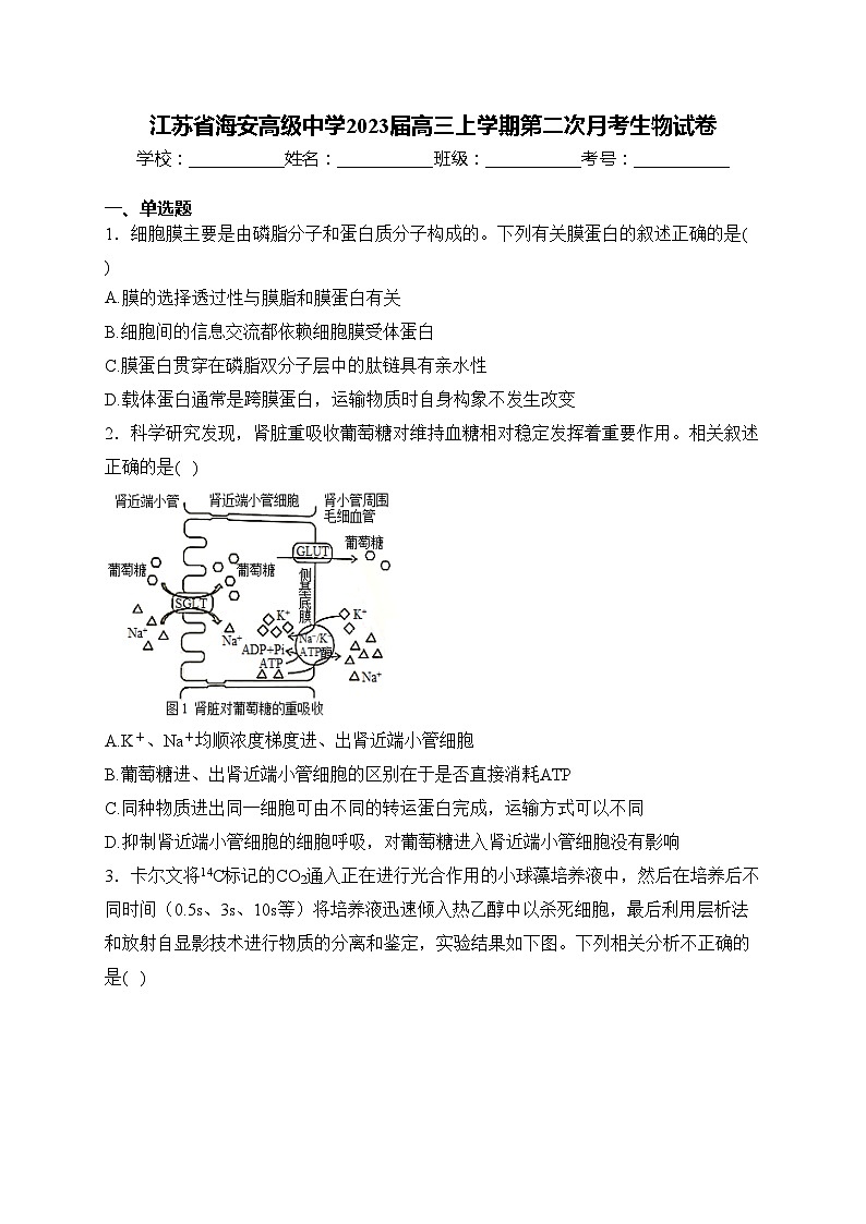江苏省海安高级中学2023届高三上学期第二次月考生物试卷(含答案)01