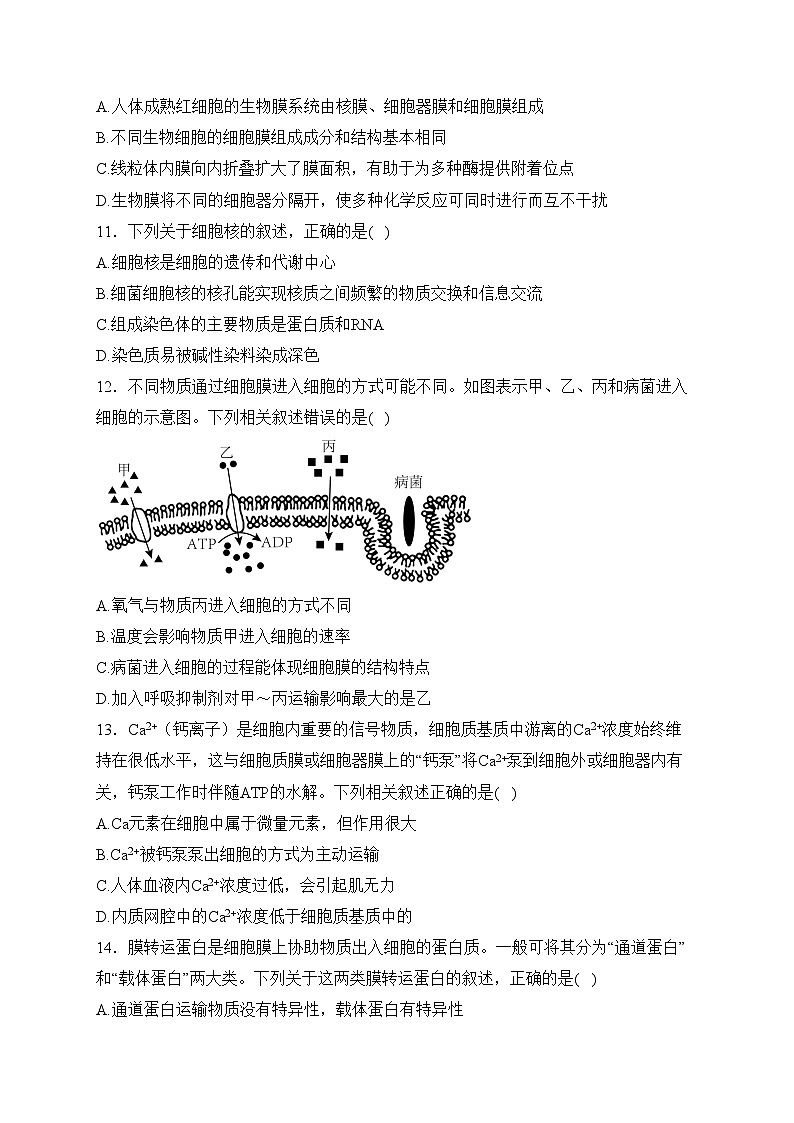 青海省西宁市大通县2022-2023学年高一下学期开学巩固练习生物试卷(含答案)03