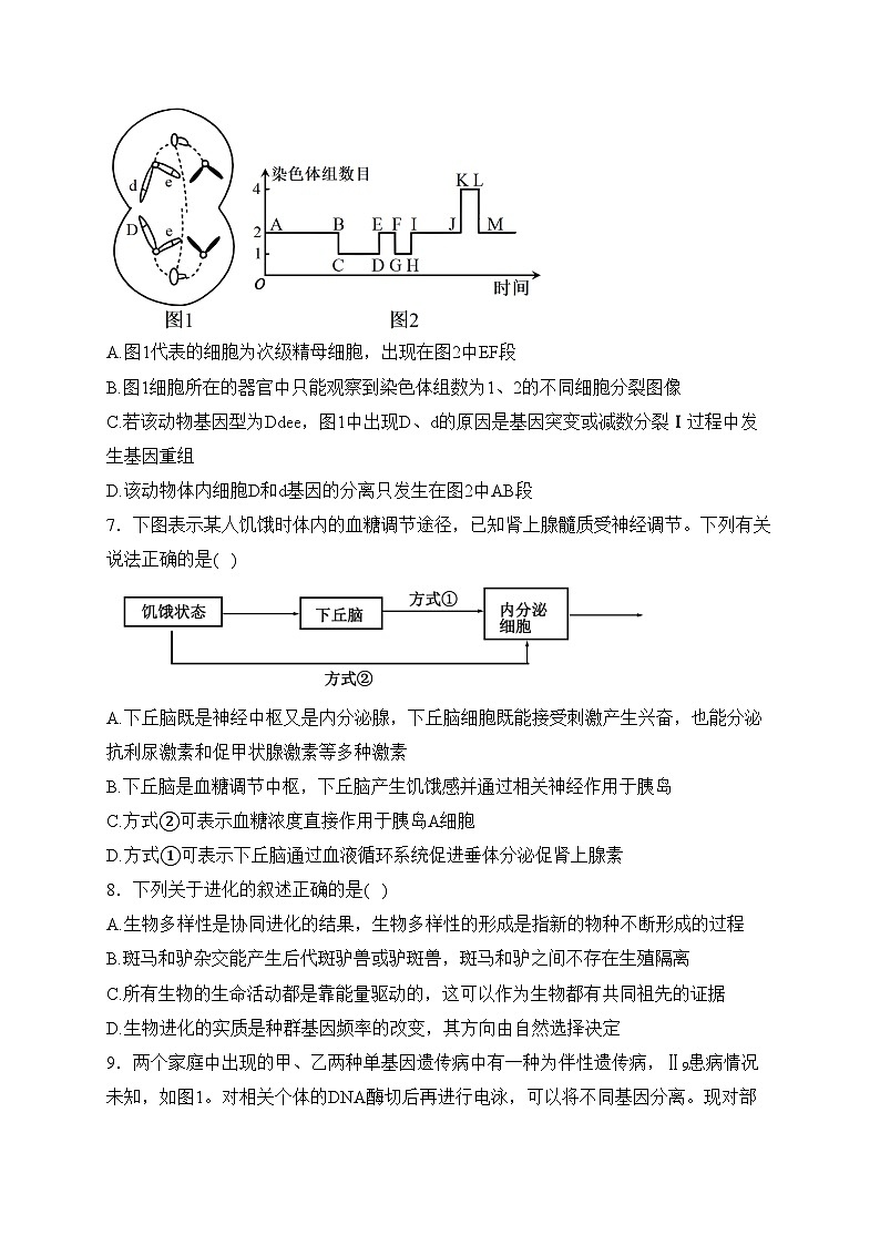 重庆市七校2024届高三下学期第一次月考生物试卷(含答案)第3页