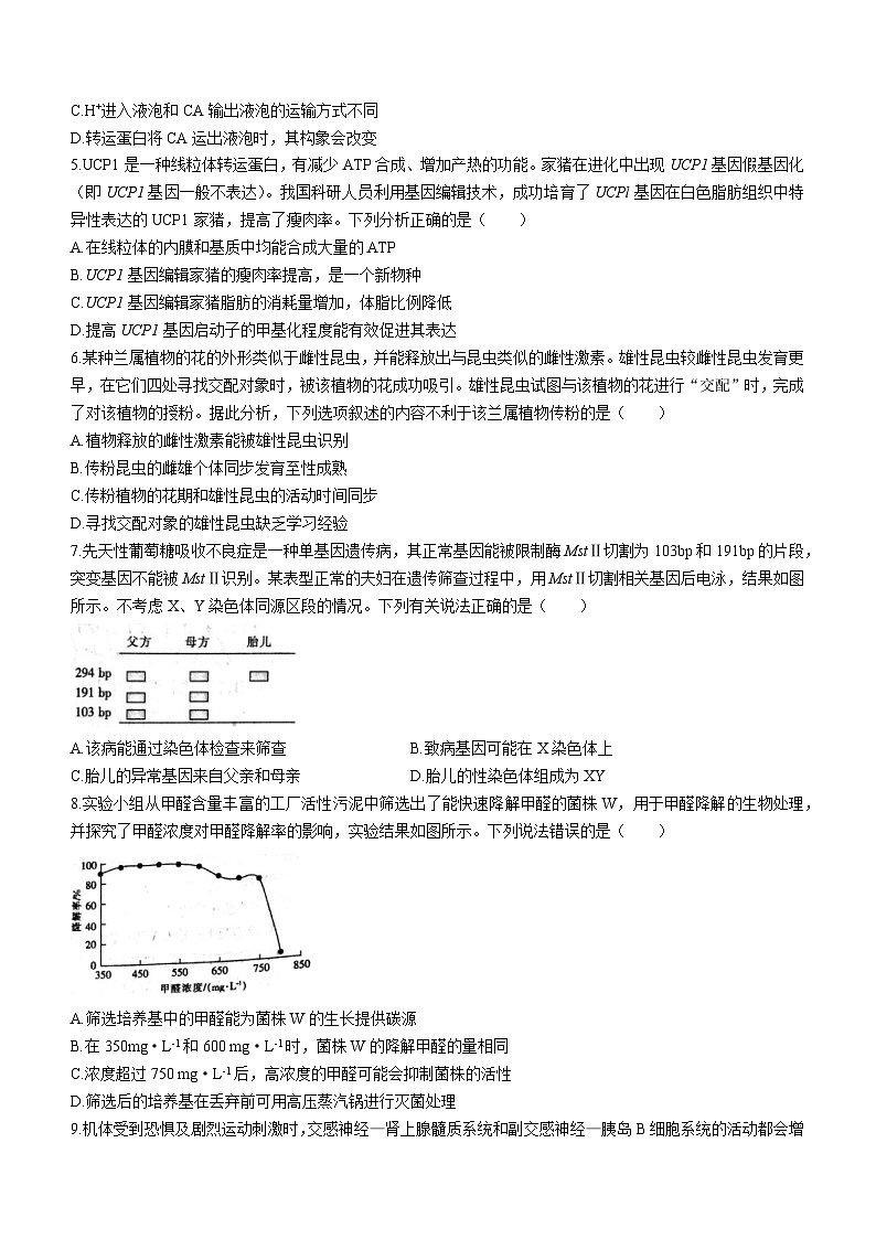 2024届贵州省安顺市部分学校高三下学期模拟考试生物试题第2页