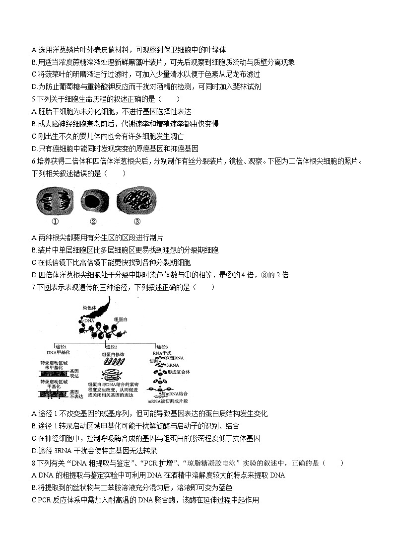 2024届辽宁省协作校高三下学期第一次模拟考试生物试题(无答案)第2页