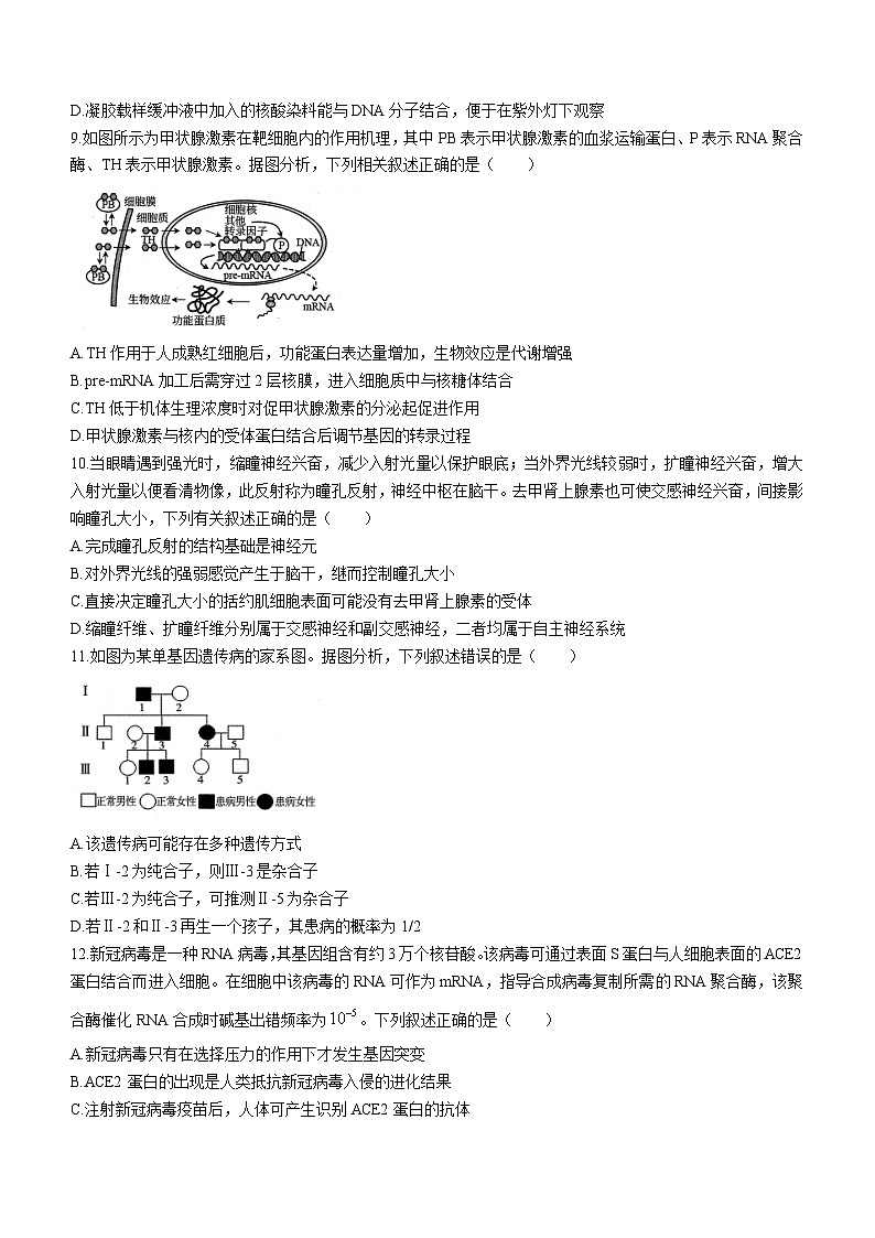 2024届辽宁省协作校高三下学期第一次模拟考试生物试题(无答案)第3页