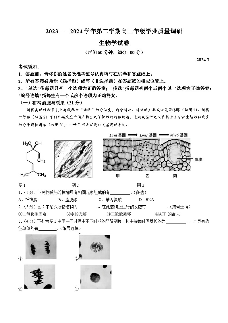2024届上海市青浦区高三二模生物试卷第1页