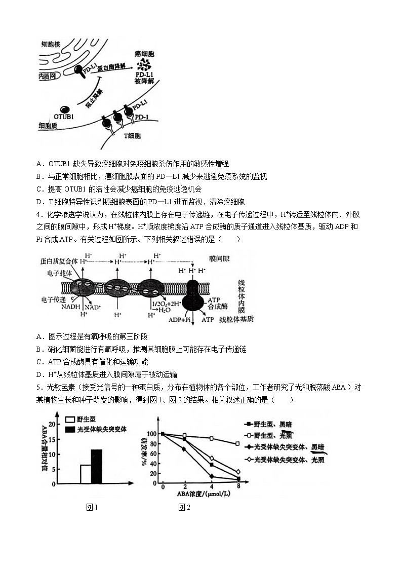 2024届天津市河西区高三一模生物试题(无答案)第2页