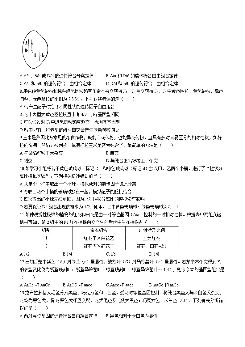 河北省保定市保定部分高中2023-2024学年高一下学期3月月考生物试题02