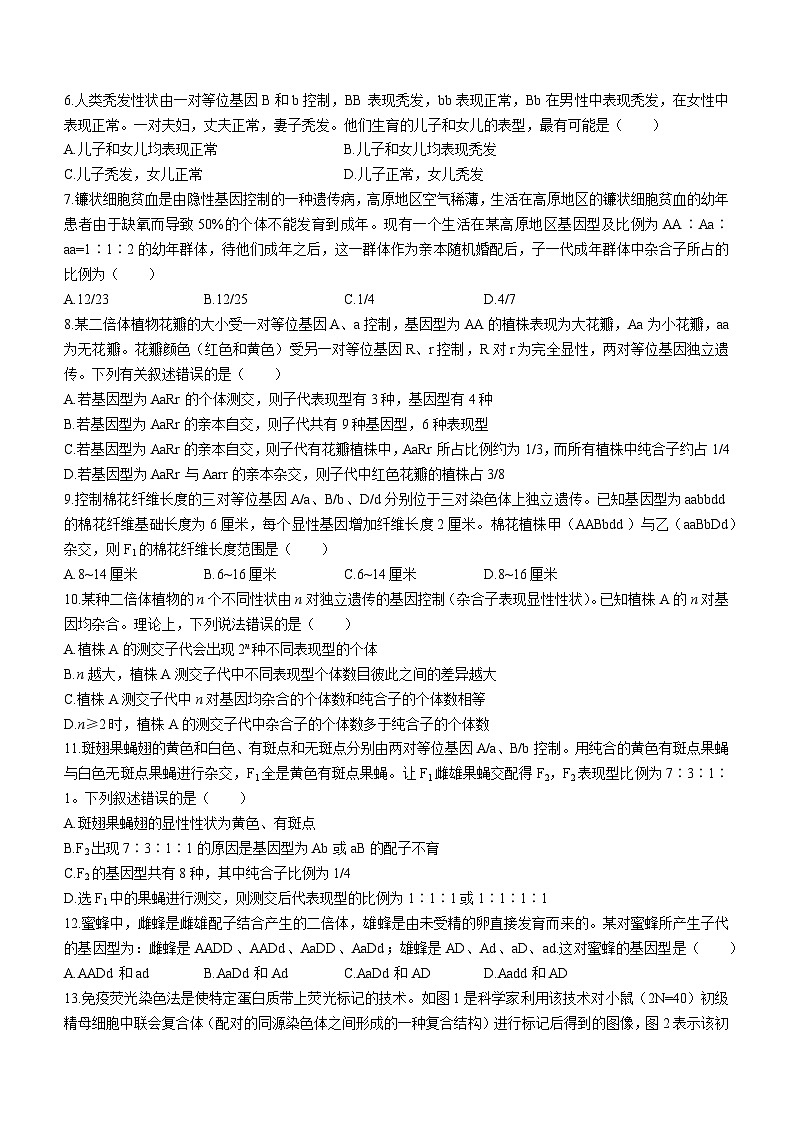河北省沧州市泊头市第一中学2023-2024学年高一下学期3月月考生物试题(无答案)第2页