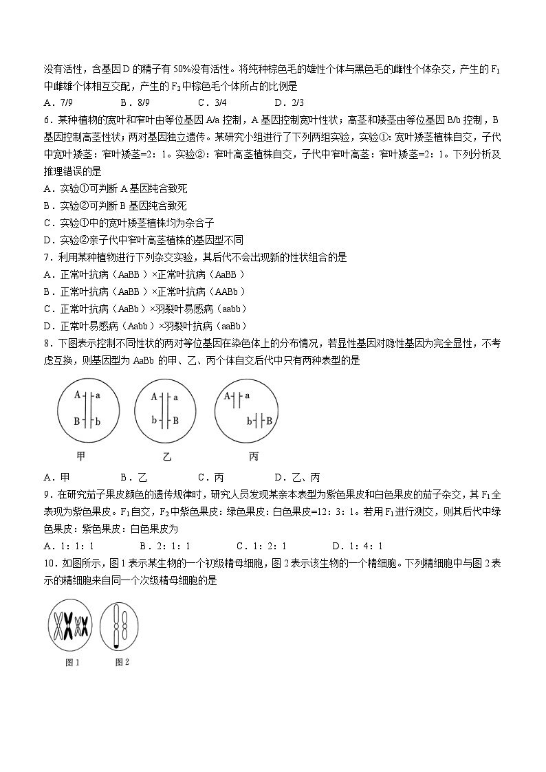 河南省创新发展联盟2023-2024学年高一下学期3月月考生物试题02