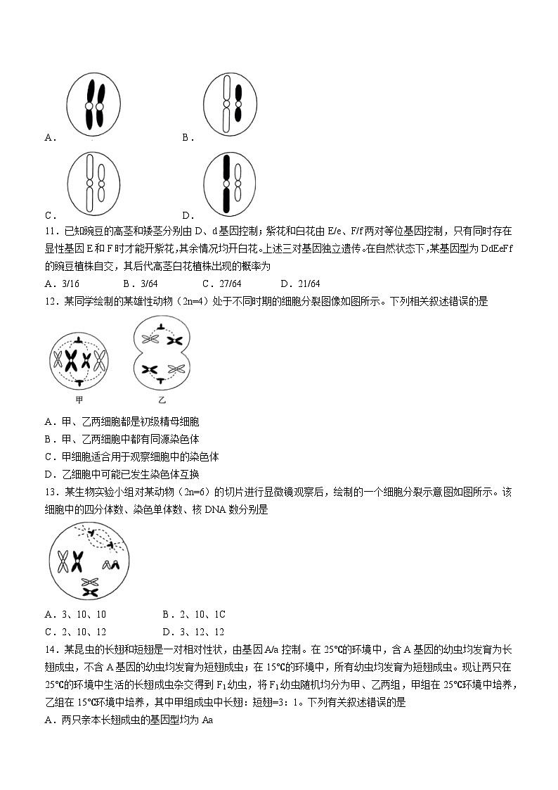 河南省创新发展联盟2023-2024学年高一下学期3月月考生物试题03