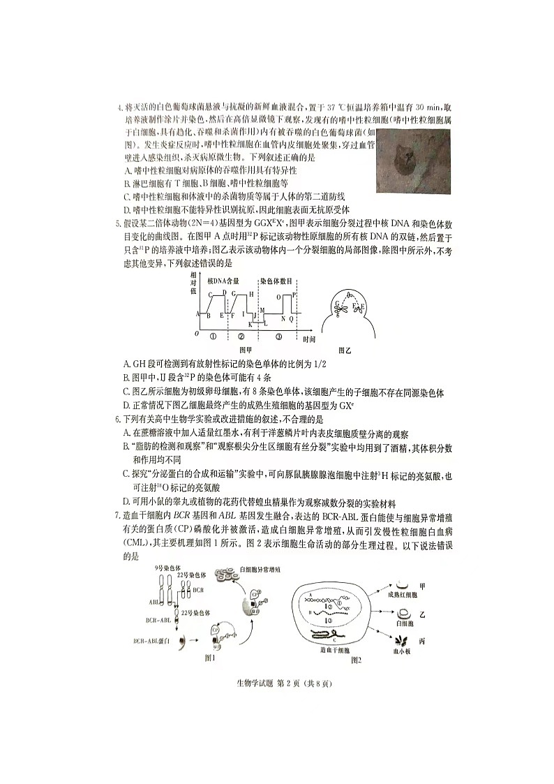 2024届湖南省娄底市高考三模生物试题02