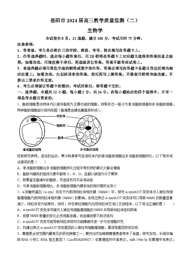 2024届湖南省岳阳市高三下学期第二次教学质量监测（岳阳二模）生物01