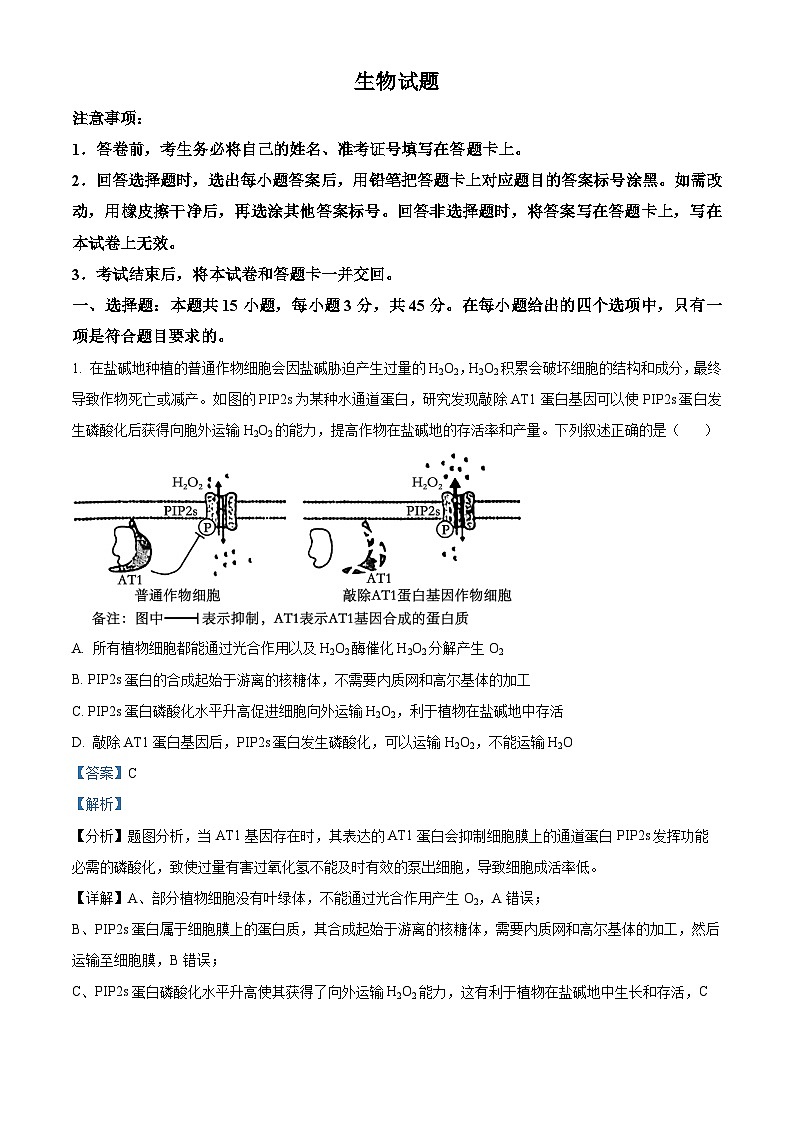 安徽省名校教研联盟2024届高三下学期3月联考生物试卷含解析第1页