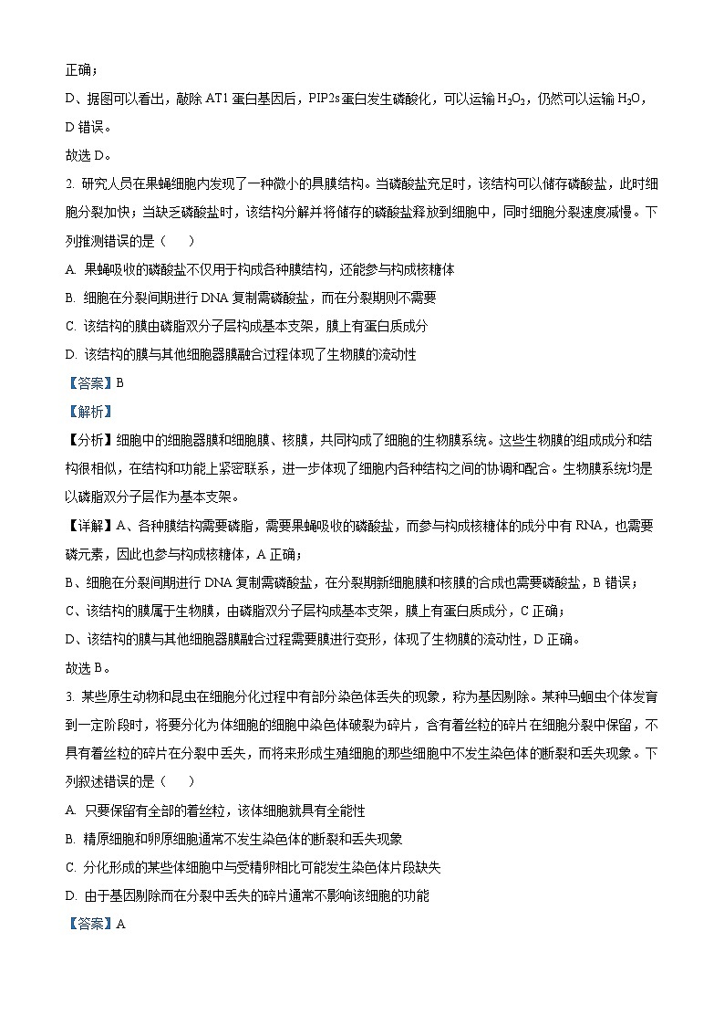 安徽省名校教研联盟2024届高三下学期3月联考生物试卷含解析第2页
