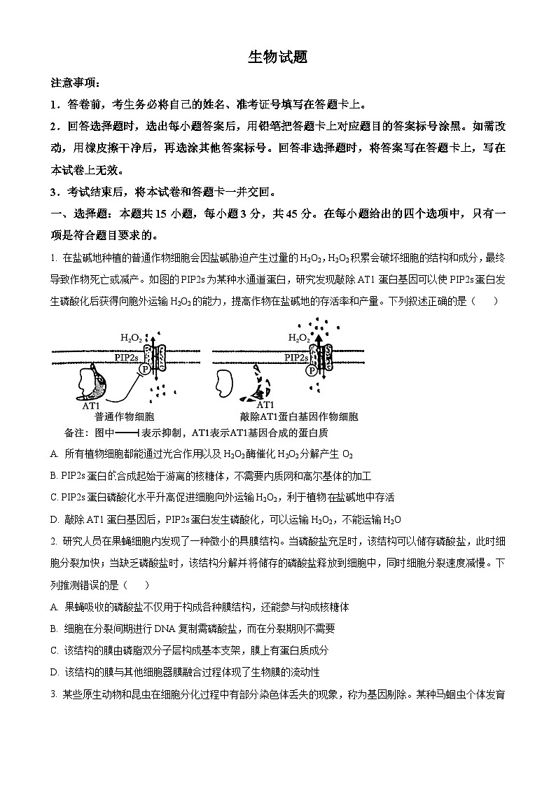 安徽省名校教研联盟2024届高三下学期3月联考生物试卷无答案第1页