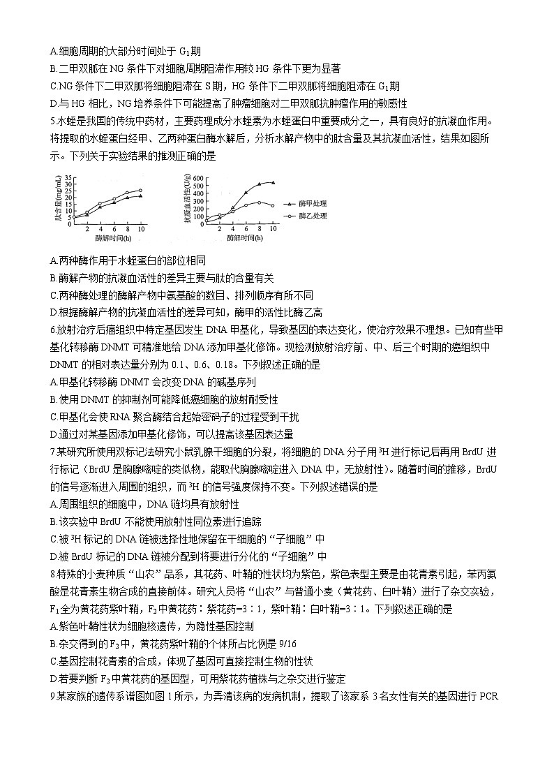 湖北省高中名校联盟2023-2024学年高三下学期3月一模测评生物试题第2页