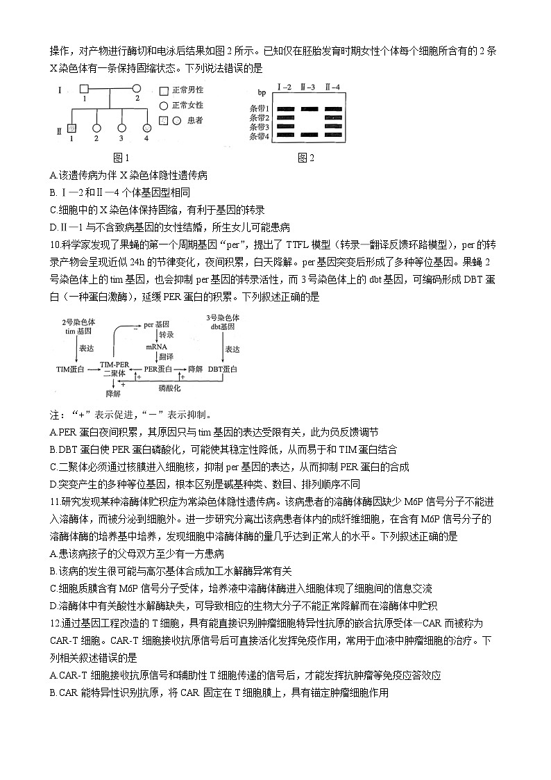 湖北省高中名校联盟2023-2024学年高三下学期3月一模测评生物试题第3页