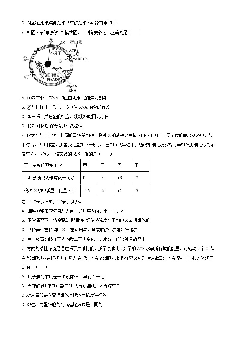 2024安庆桐城中学高一下学期开学考试生物试题含解析03