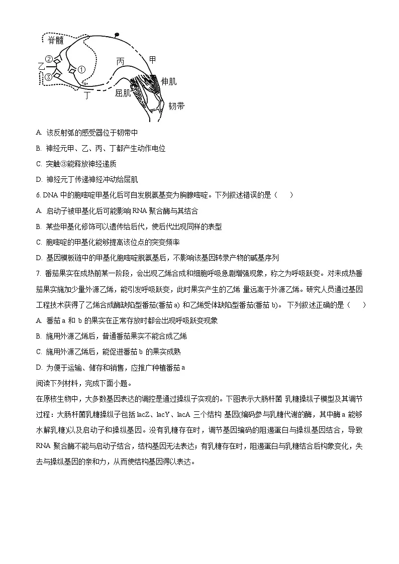 浙江省9+1联盟2024届高三下学期3月联考生物试题（原卷版）第2页
