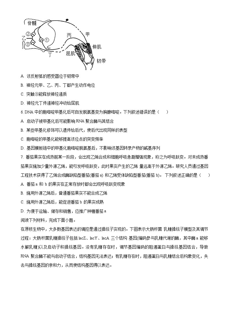 浙江省9+1联盟2024届高三下学期3月联考生物试题（原卷版）第2页