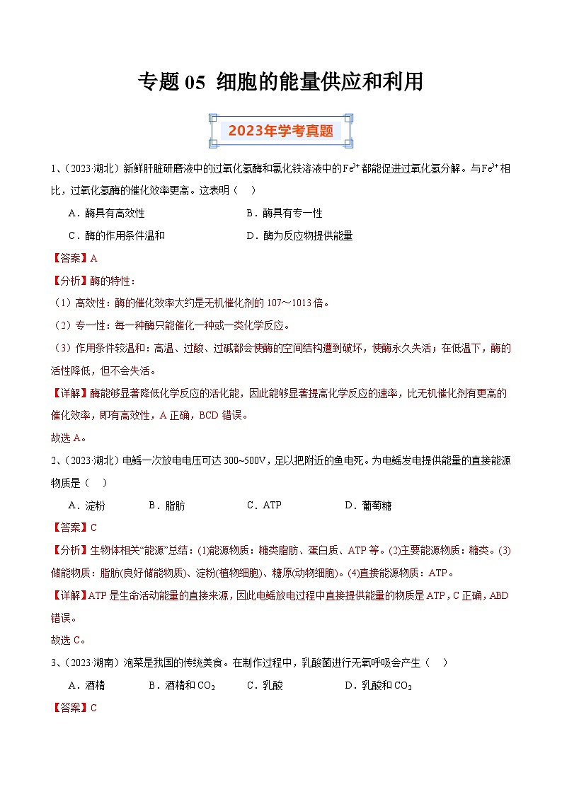 专题05 细胞的能量供应和利用-备战2024年高中学业水平考试生物真题分类汇编01