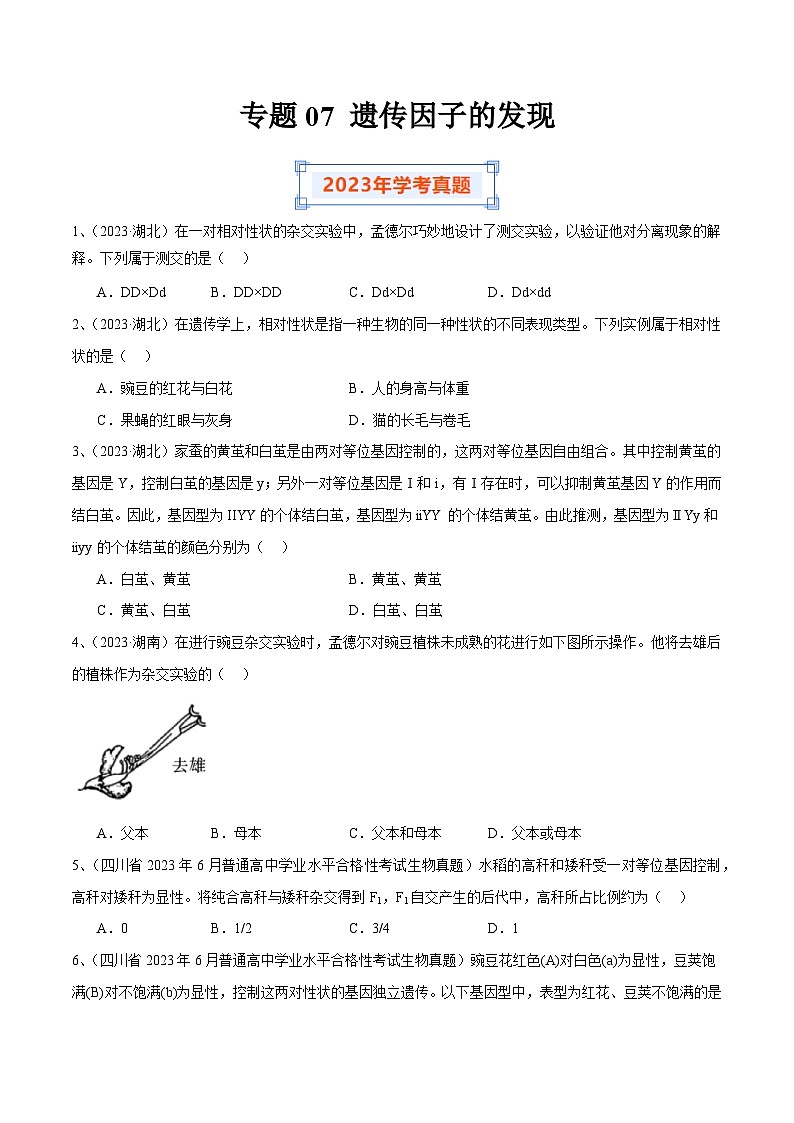 专题07 遗传因子的发现（原卷版）第1页