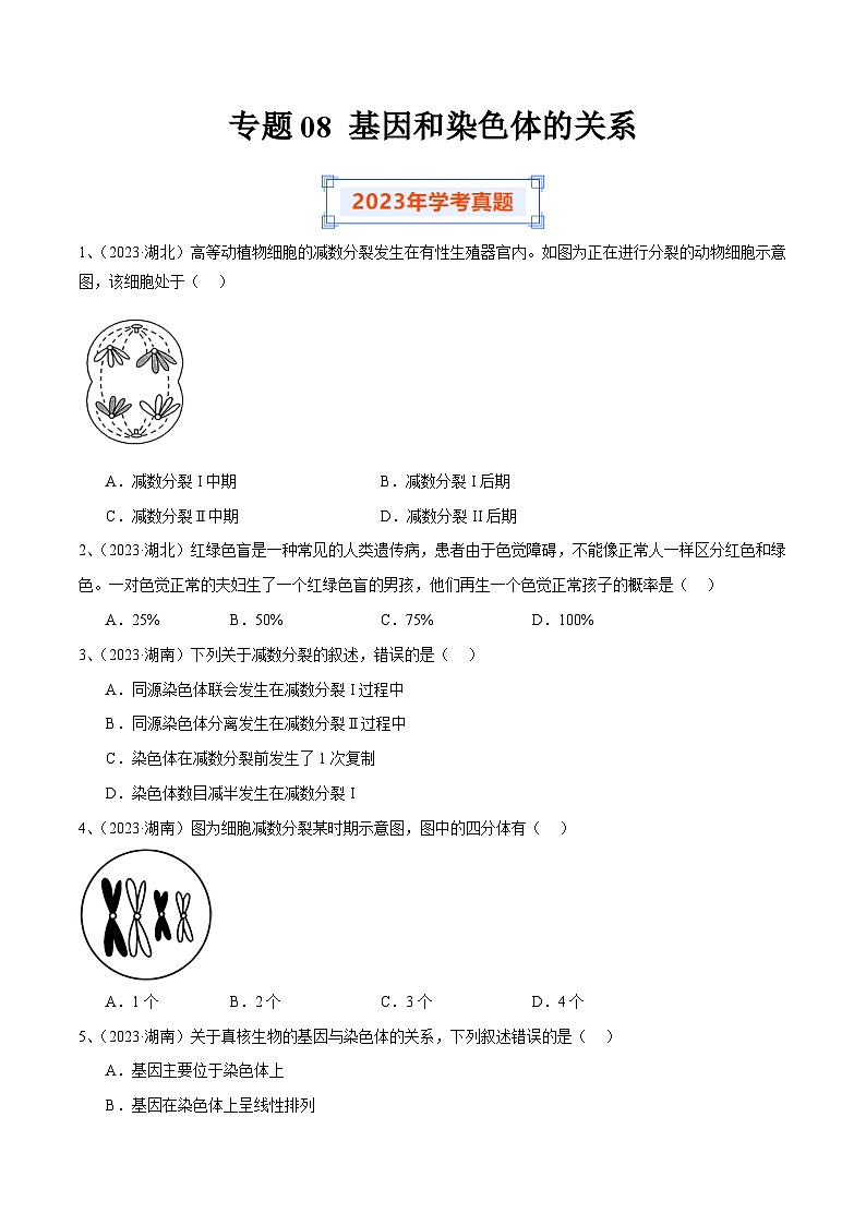 专题08 基因和染色体的关系（原卷版）第1页
