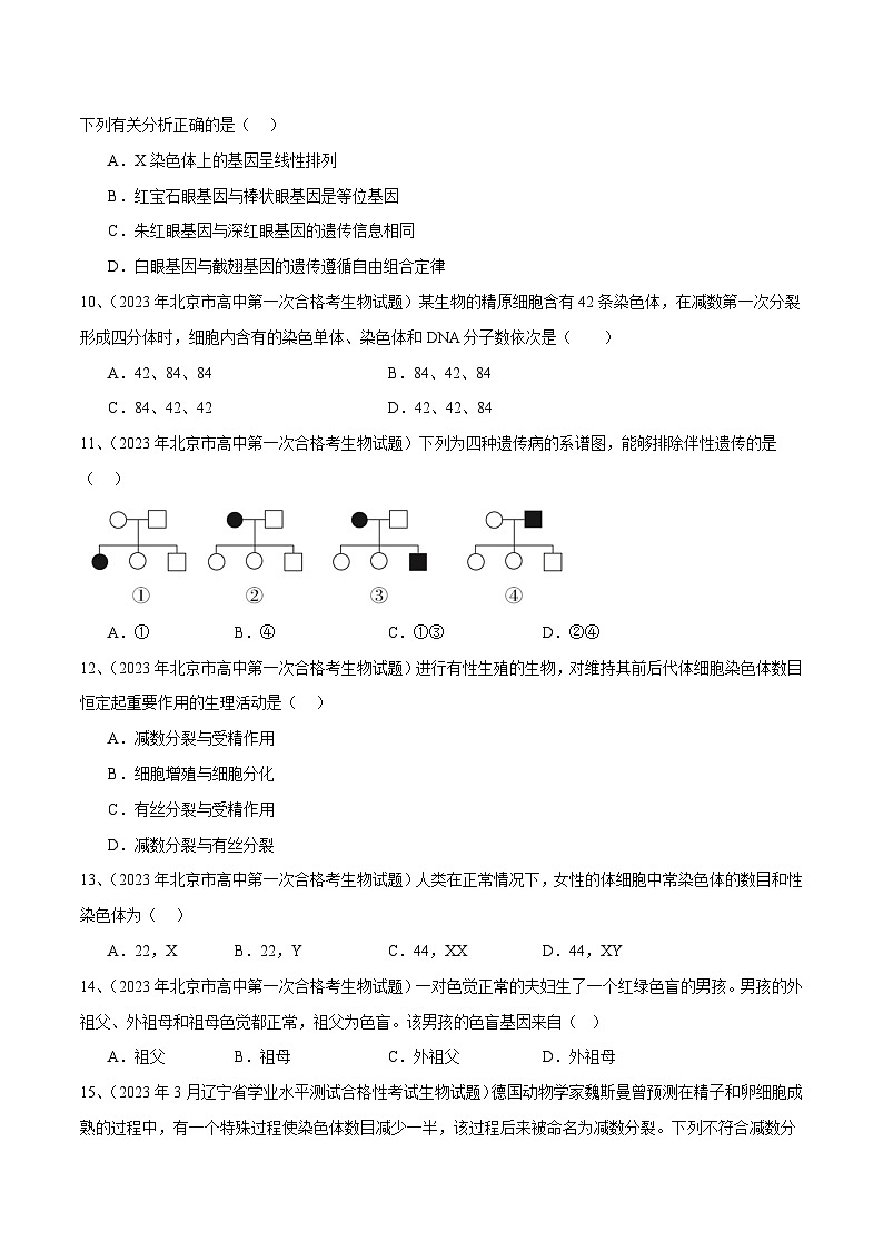 专题08 基因和染色体的关系（原卷版）第3页