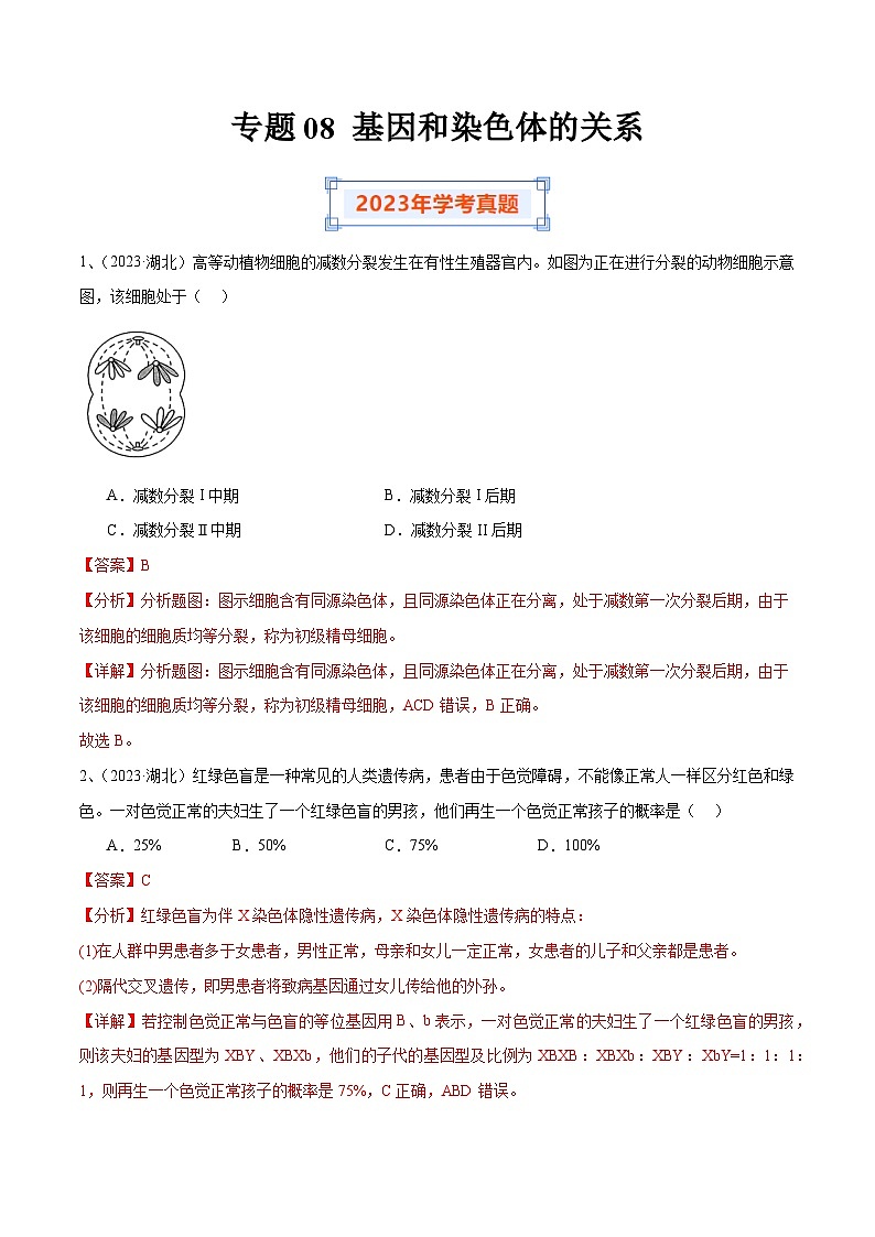 专题08 基因和染色体的关系（解析版）第1页