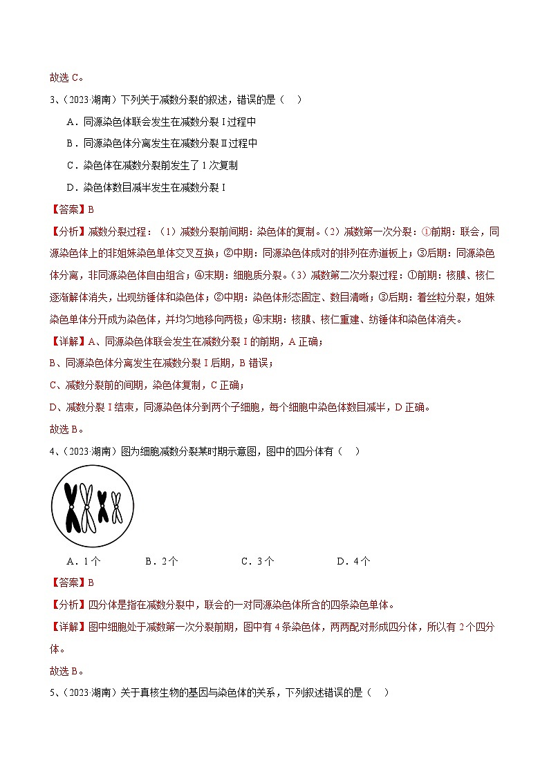 专题08 基因和染色体的关系（解析版）第2页