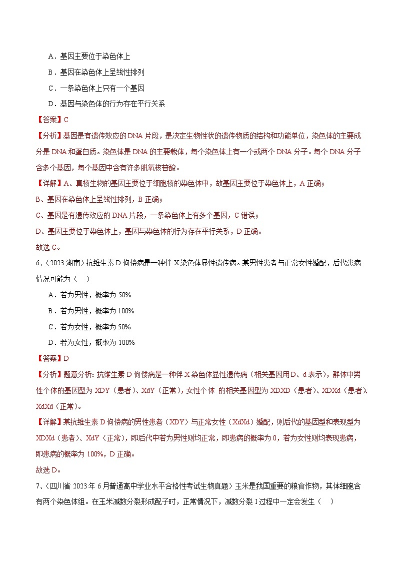 专题08 基因和染色体的关系（解析版）第3页