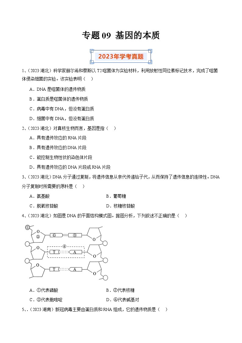 专题09 基因的本质（原卷版）第1页