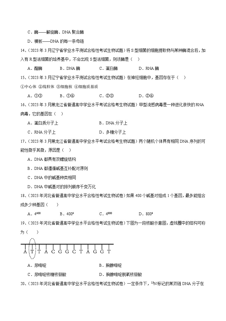 专题09 基因的本质（原卷版）第3页