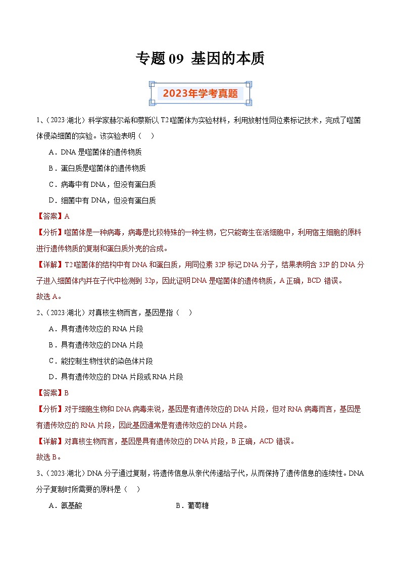 专题09 基因的本质（解析版）第1页