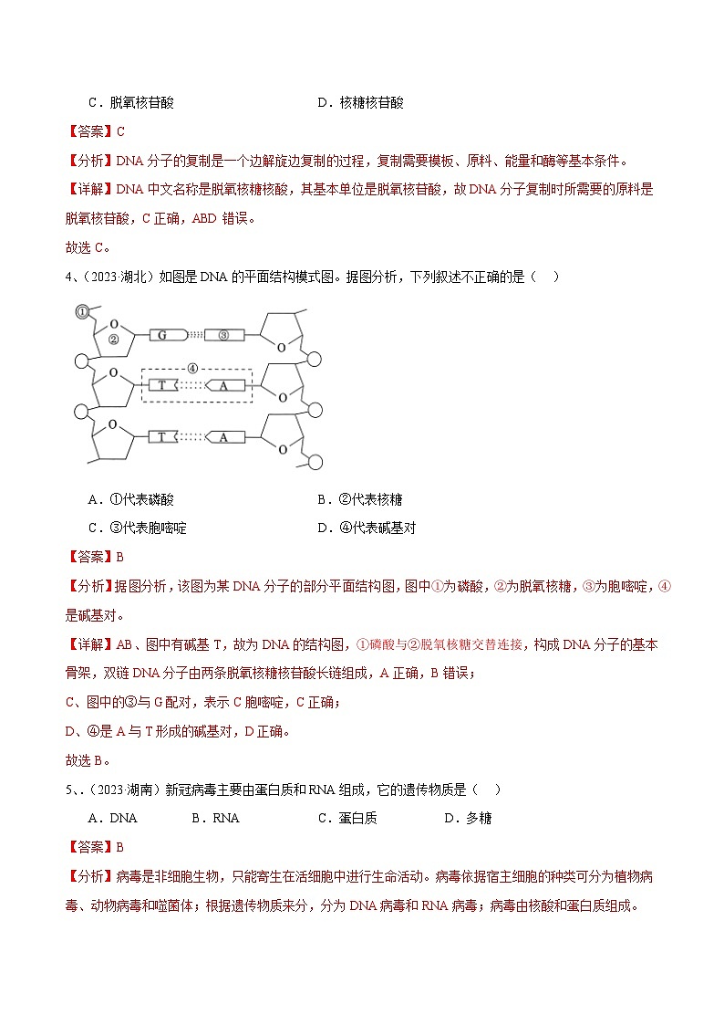 专题09 基因的本质（解析版）第2页