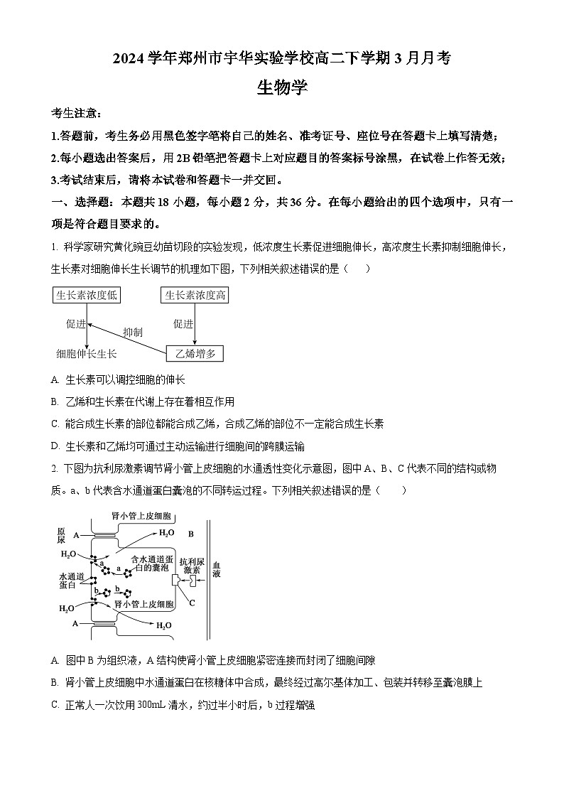 河南省郑州市宇华实验学校2023-2024学年高二下学期3月月考生物试题（Word版附解析）第1页