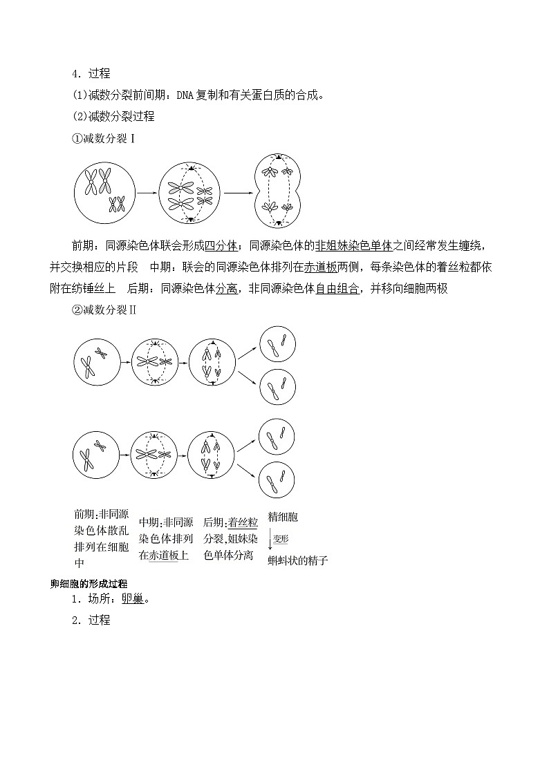 2.1.1减数分裂学案第2页