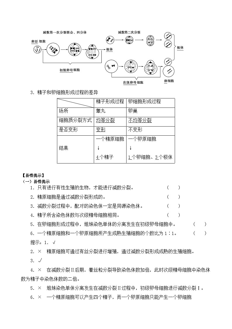 2.1.1减数分裂学案第3页