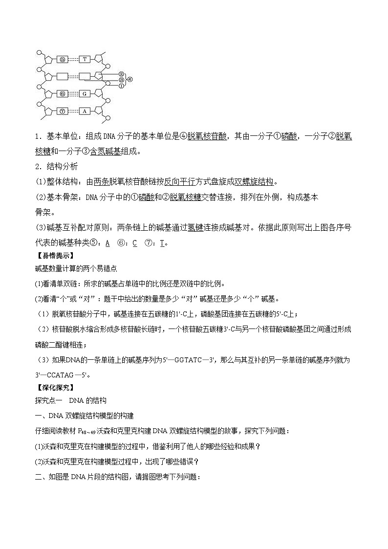 3.2 DNA的结构的学案第2页