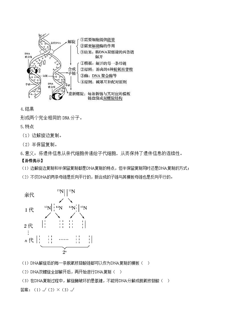 3.3DNA的复制学案第3页
