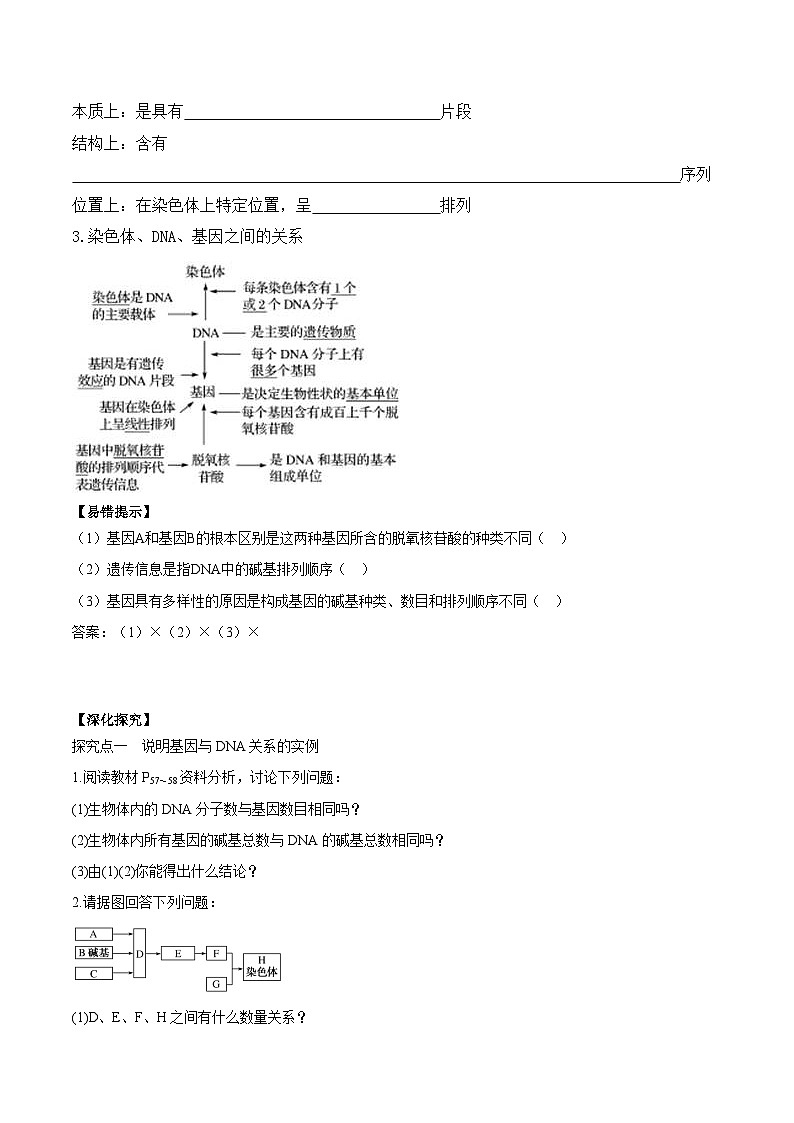 3.4 基因通常是有遗传效应的DNA片段学案第2页