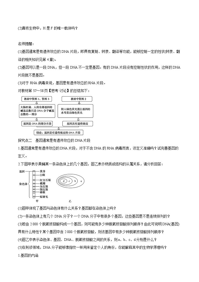 3.4 基因通常是有遗传效应的DNA片段学案第3页
